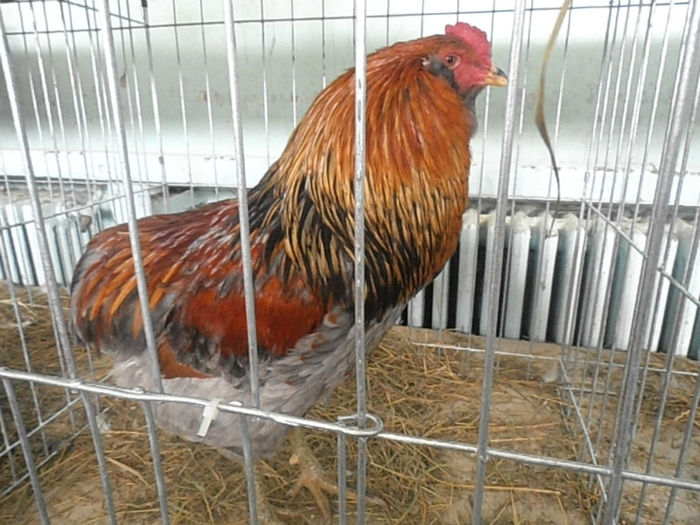 P3030345