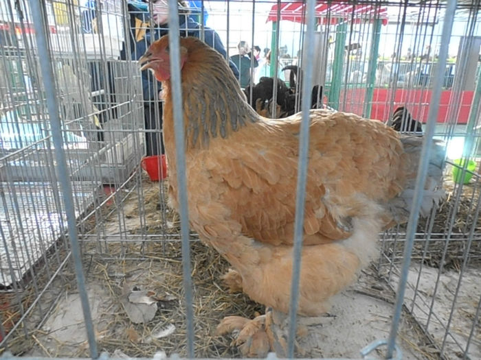P3030346