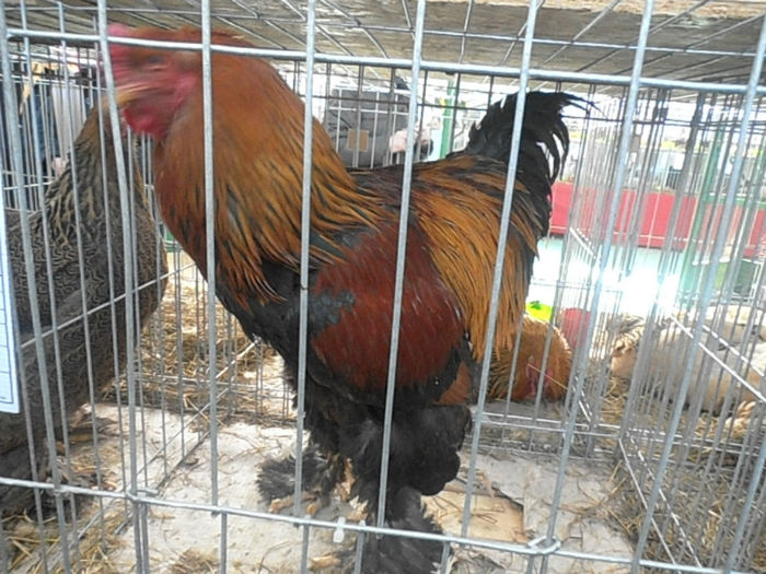 P3030351
