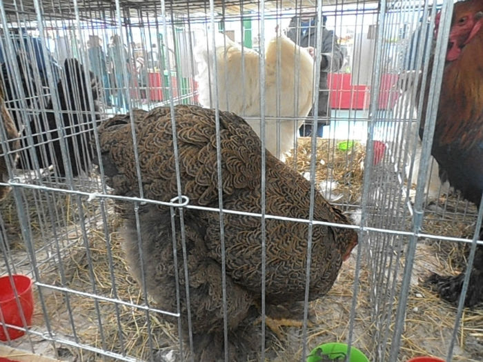 P3030361