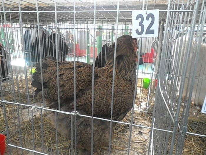P3030363