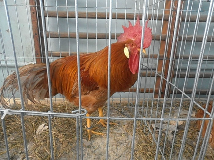 P3030364