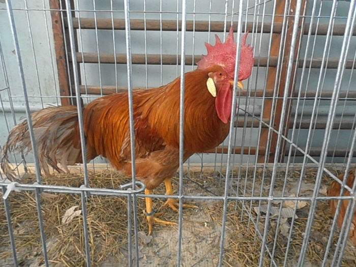 P3030365