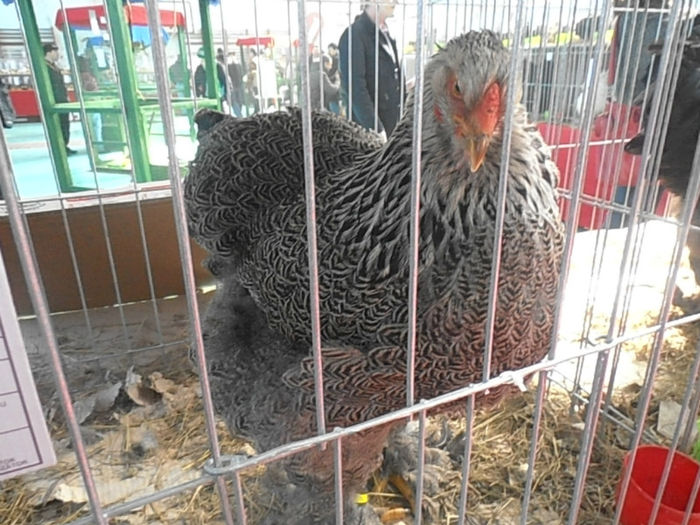 P3030373