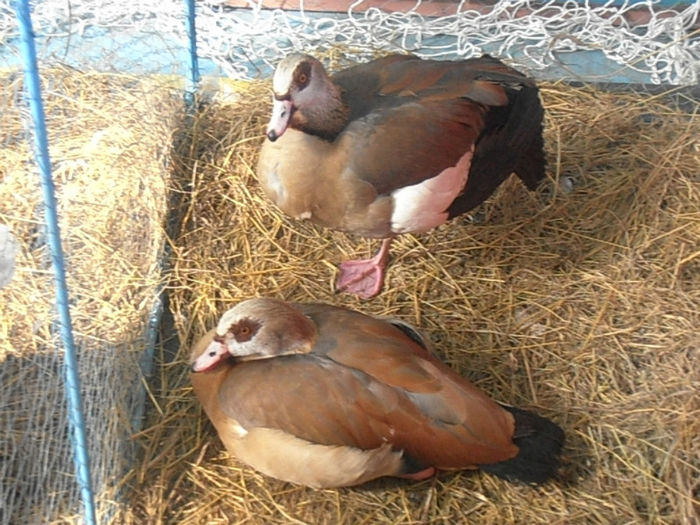 P3030377