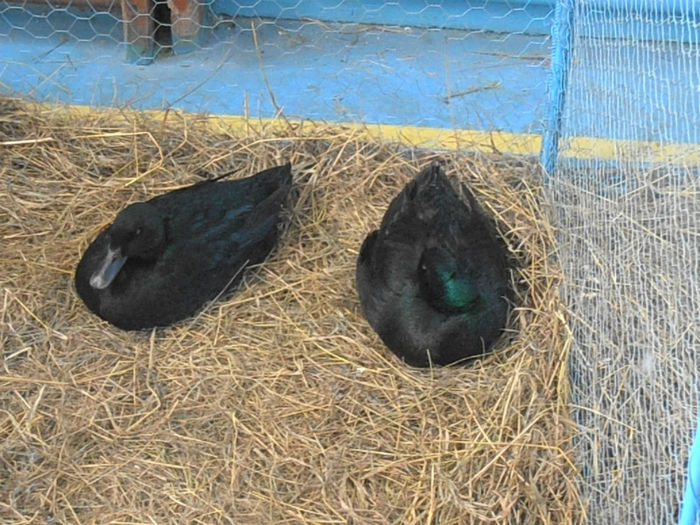 P3030384