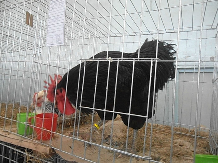 P3030388