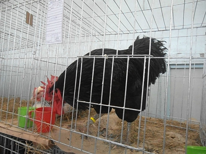P3030389