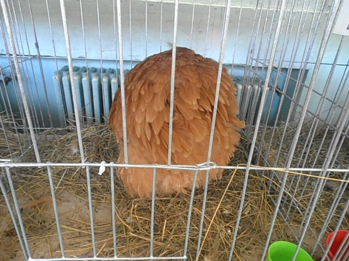 P3030392
