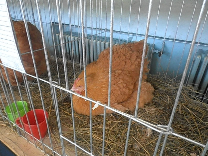 P3030394