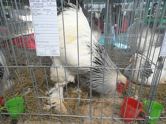 P3030396