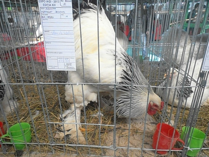 P3030397
