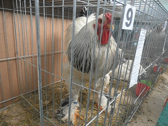 P3030399