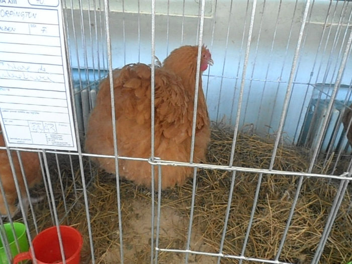 P3030401