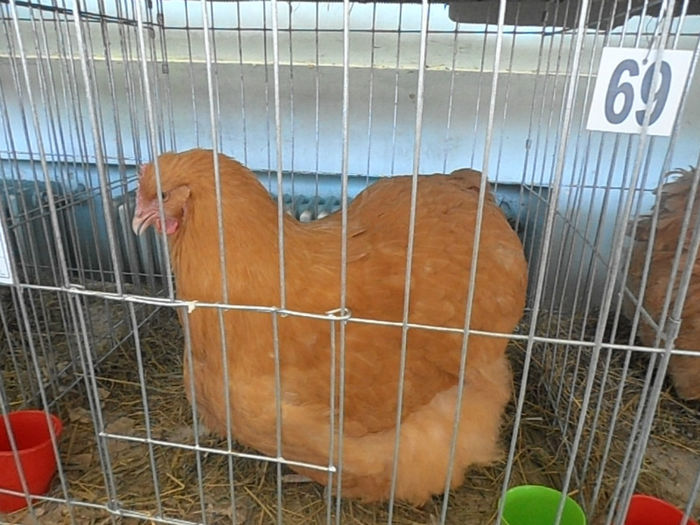 P3030403
