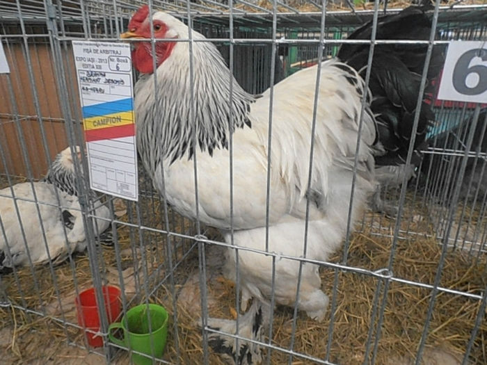 P3030407