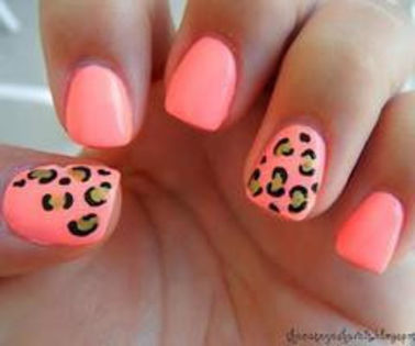 208602_423118281109588_1630858662_n_thumb