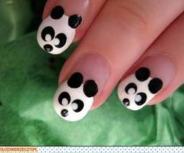 OnlyMusic3-df2d8f6f4492146a79ed_thumb