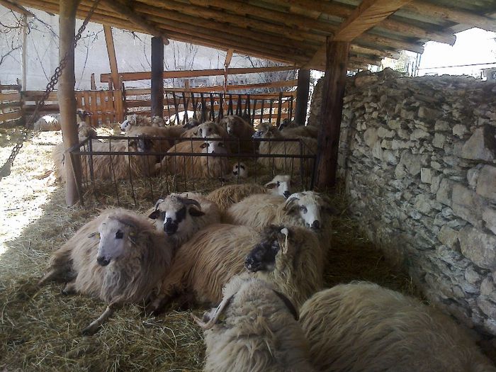 FĂ©nykĂ©p0652[1]