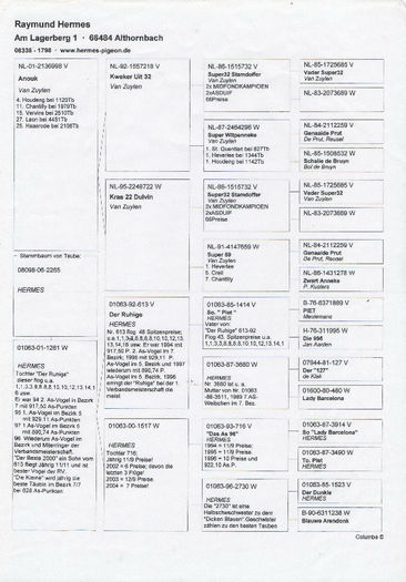 Anexa pedigreu Super Ruhige