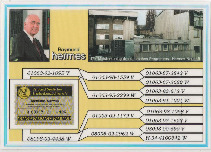 Pedigreu Consangvina Ruhige