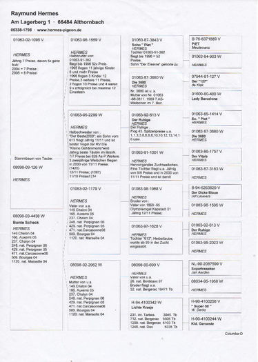 Anexa pedigreu Consangvina Ruhige