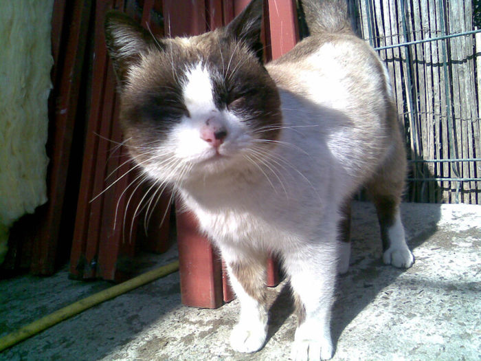 "am fost putin plecat.."