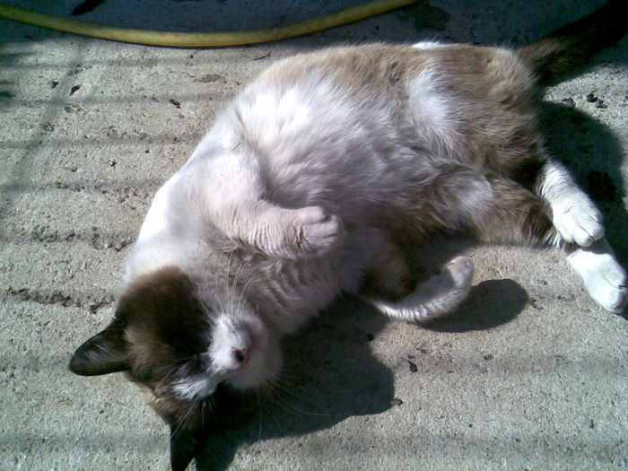 "ma mai pozezi mult ???"