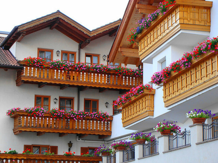 flori-in-balcon