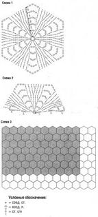 97361961_image