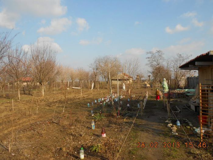 DSCN6558 - Gradina