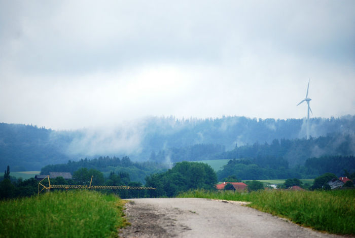 DSC_8026 - La tara in Austria