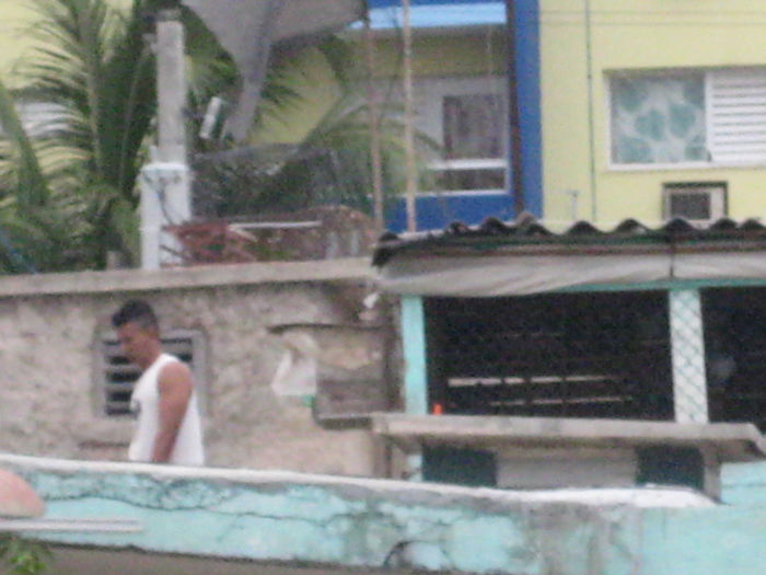IMG_8022 - In vizita la crescatori in Cuba Februarie 2013