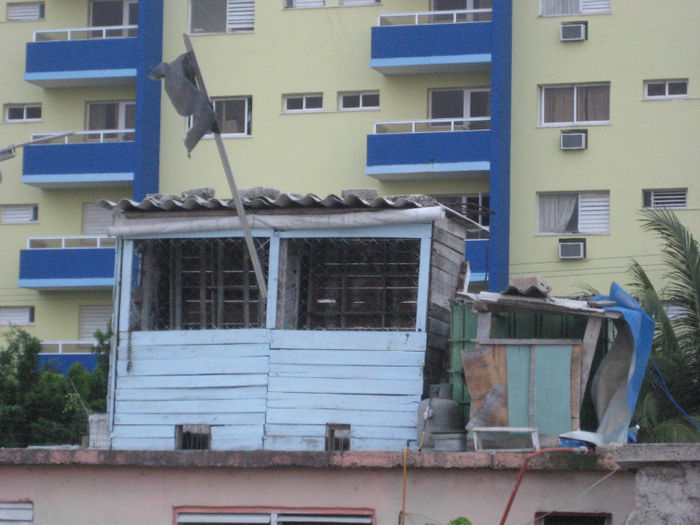 IMG_8031 - In vizita la crescatori in Cuba Februarie 2013