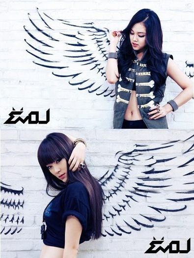 hayana and say - Evol