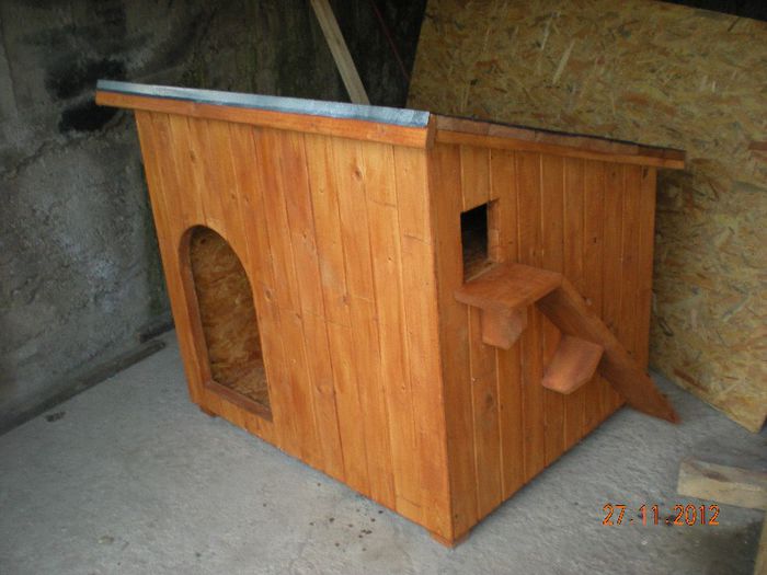 cusca caine si pisica (1)