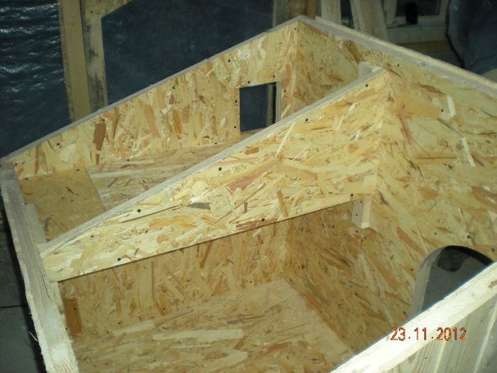 cusca caine si pisica (2)