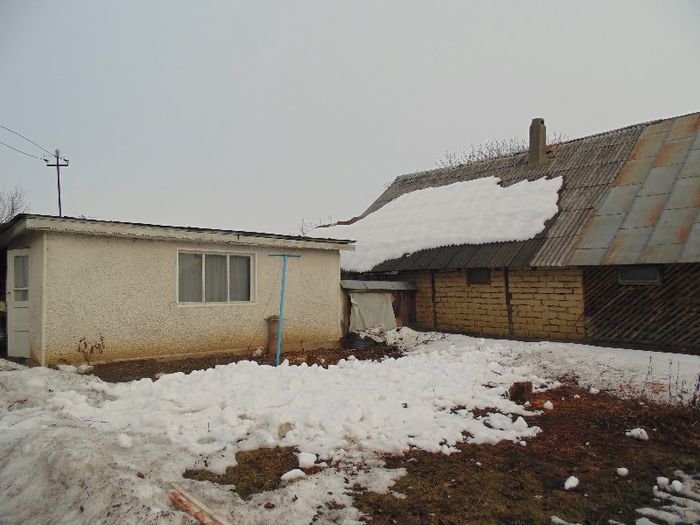 DSC04163 - Poze casa Dana Blaga