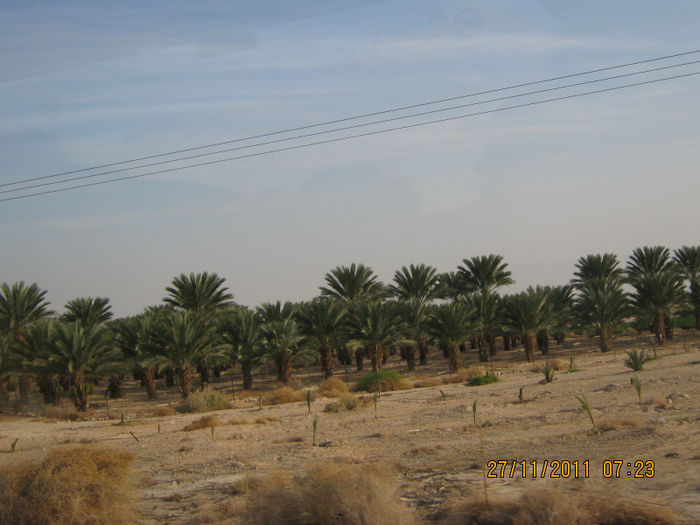 IMG_4278___ - Prin desert spre Ierihon teren palestinian