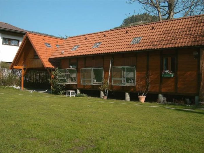 VOLIERA (3)