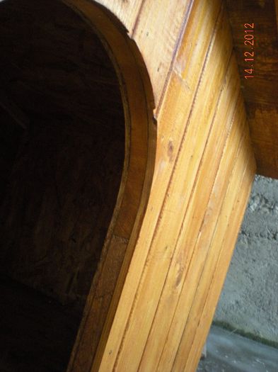 cusca cotet caine izolat (2)