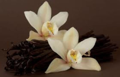 vanilie - SAPUN NATURAL-Cocoa Vanilla