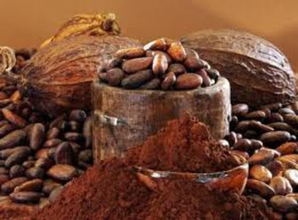 cacao - SAPUN NATURAL-Cocoa Vanilla