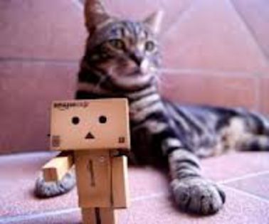 images (83) - Special_art_db