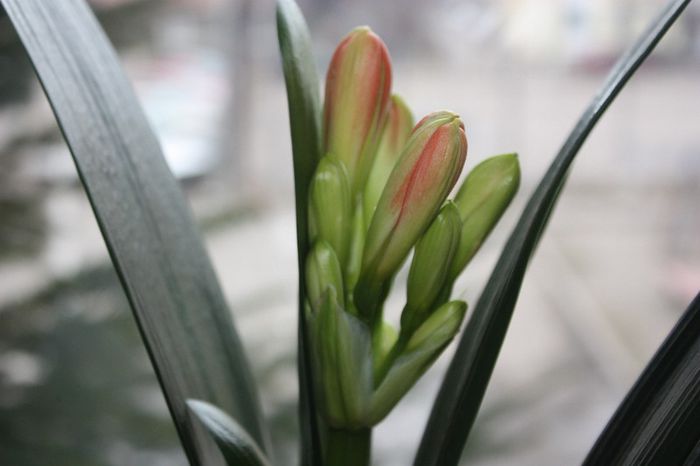 IMG_8933; iubi si fiica mea
