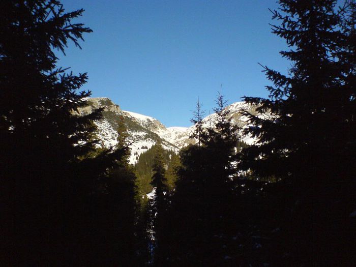 DSC00031