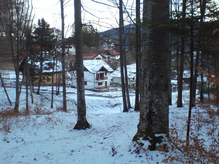 DSC00104