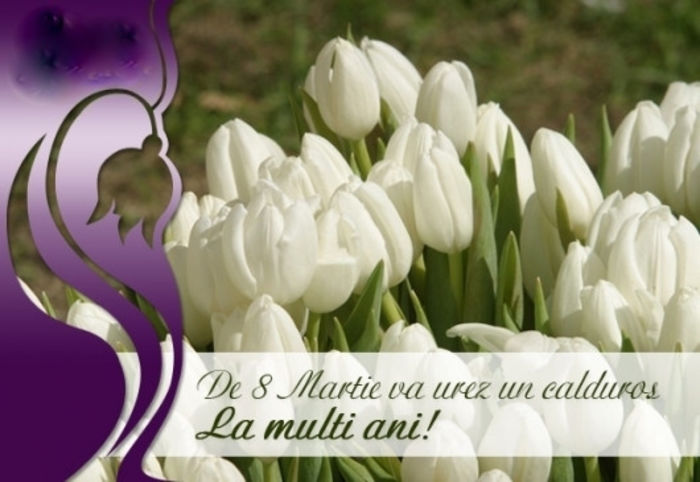 8_Martie; La multi ami!
