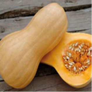 dovleac butternut