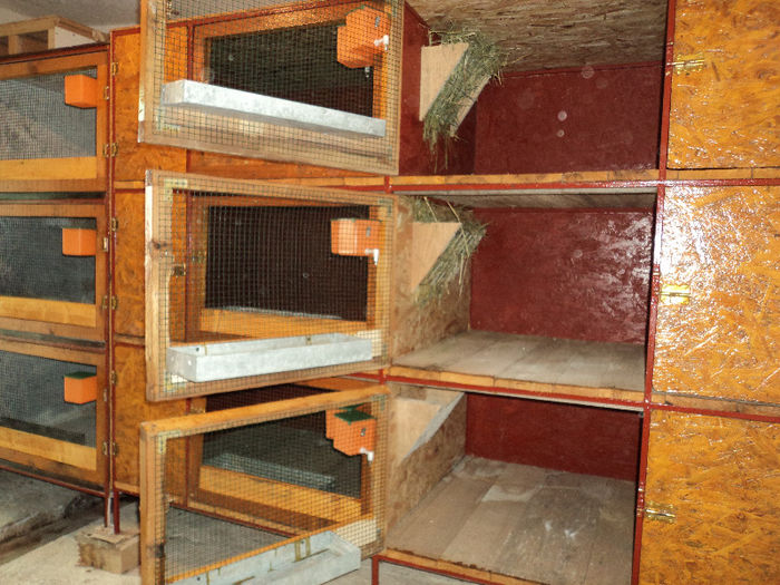 VEDERE INTERIOR BOXA